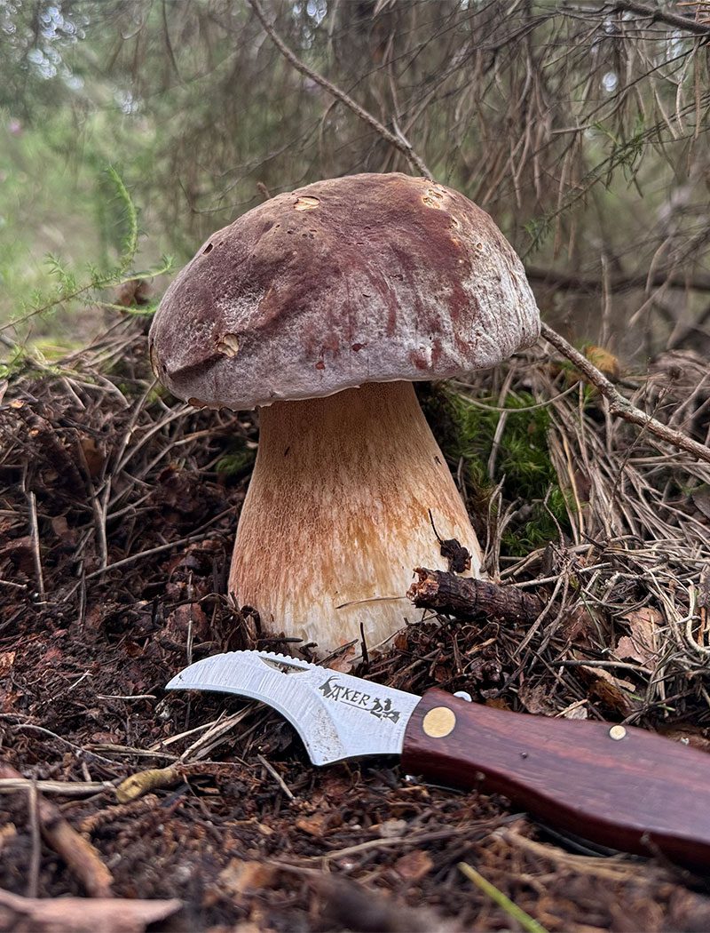 Aker Nosotros Seta Navaja